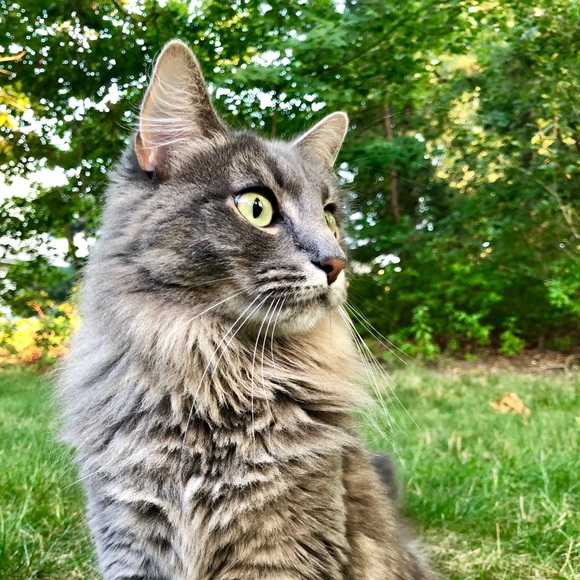 Meet your Posher, Amy - Picture 2 of 16